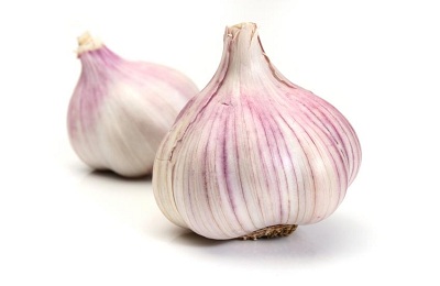 Seed garlic bulbs